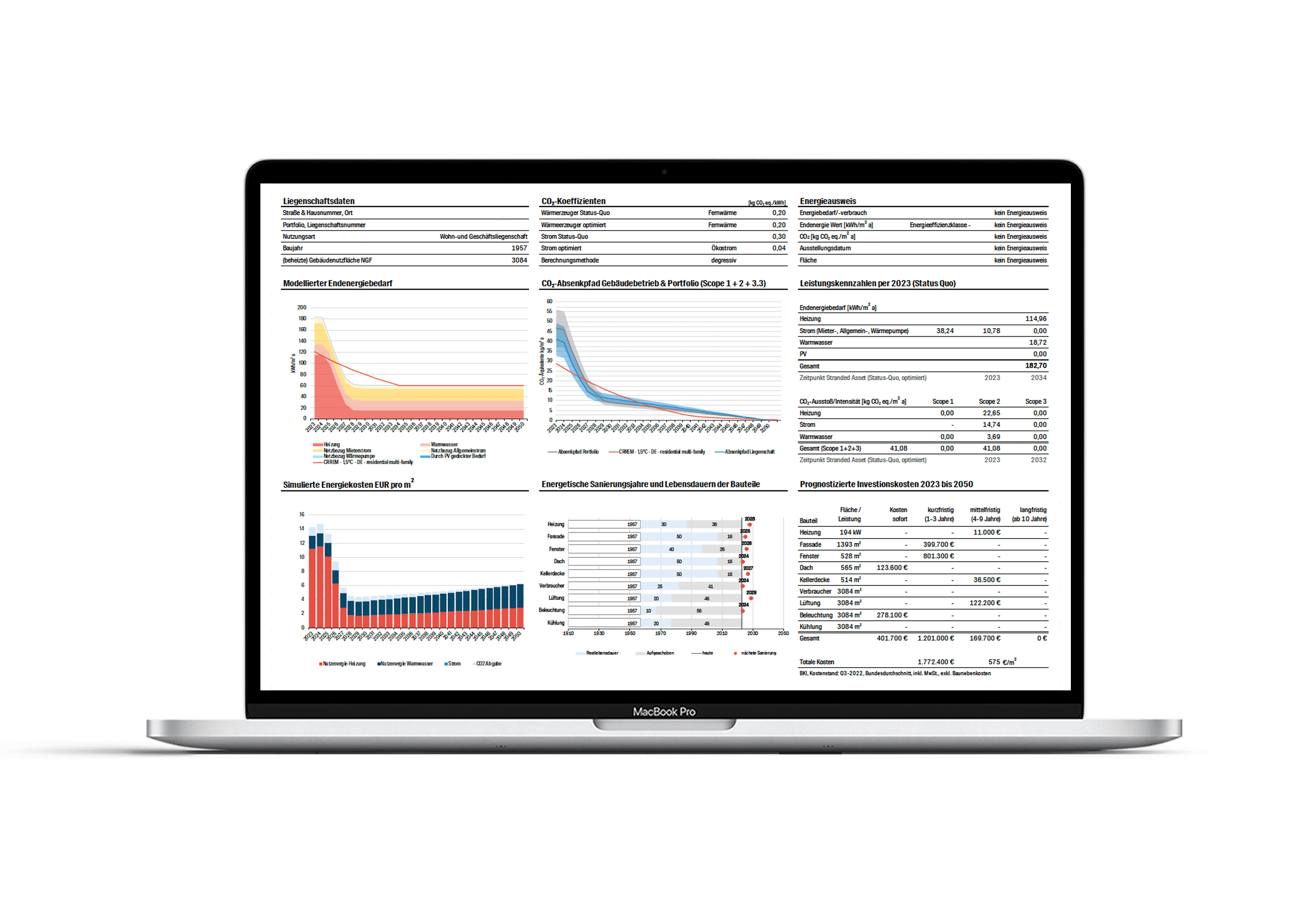 Reporting Optionen